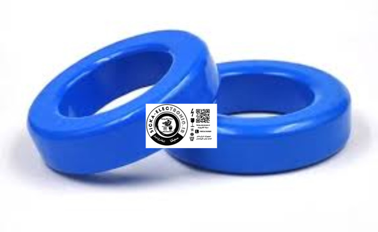 هسته سلف بزرگ